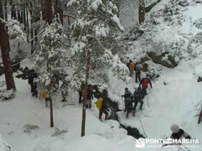 Ruta arroyo de la Chorranca; amigos del senderismo; rutas de madrid